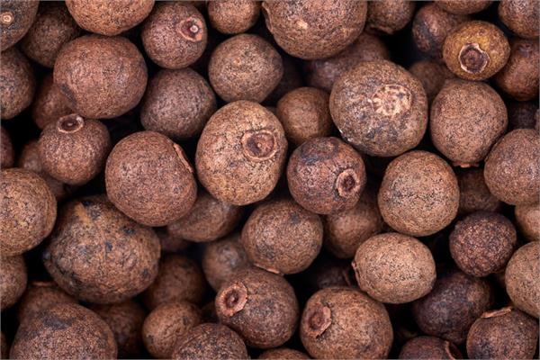 Allspice Berry Essential Oil 