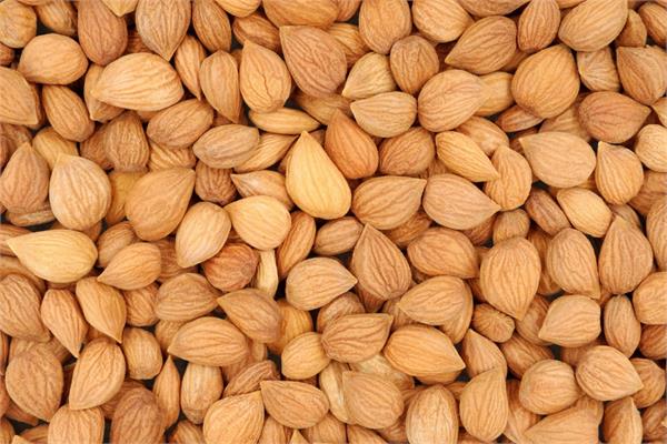 Apricot Kernel Oil