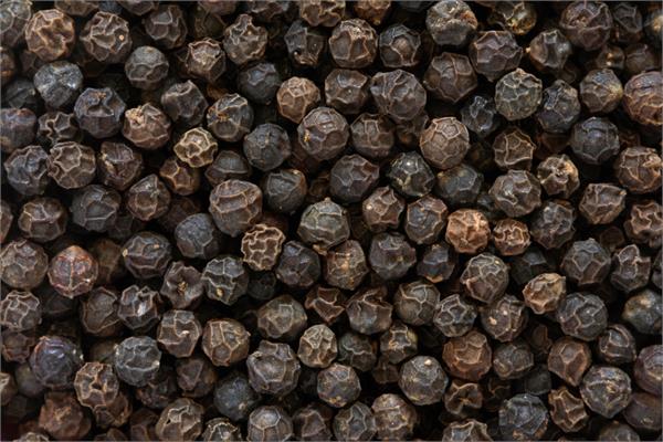 Black Pepper Essential Oil