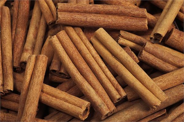 Cinnamon Bark Essential Oil 