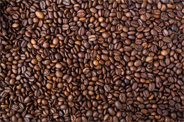 Coffee Bean Essential Oil (CO2 Extracted)