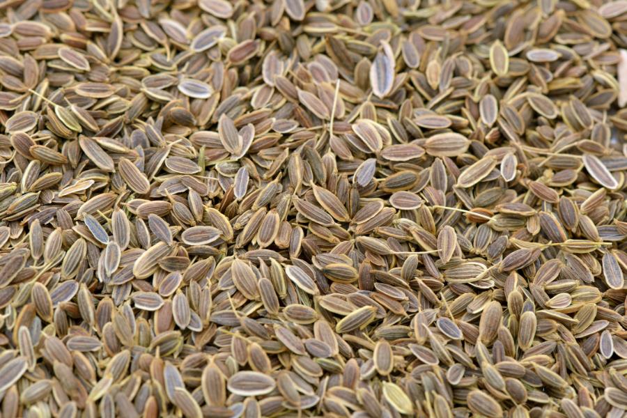 Dill Seed from Ahimsa Oils