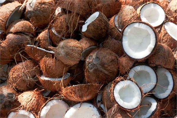 Fractionated Coconut Oil