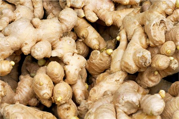 Ginger Essential Oil (CO2 Extracted)