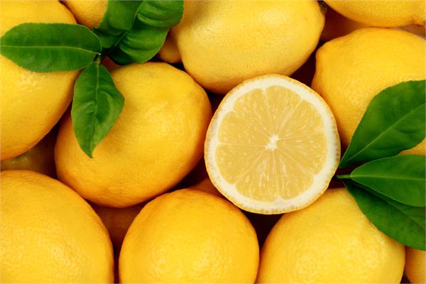 Lemon Essential Oil (Cold Pressed)