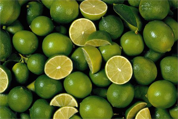 Lime Essential Oil        (Distilled)