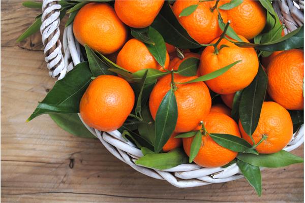 Mandarin Essential Oil (Cold Pressed)