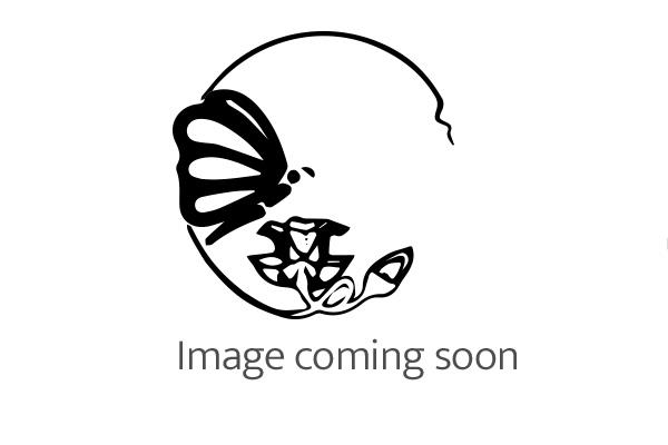 Measuring cylinder - 500ml