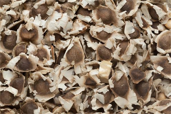 Moringa Oil-Unrefined