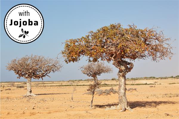 Myrrh in Jojoba