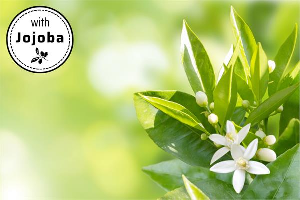 Neroli Bigarade in Jojoba