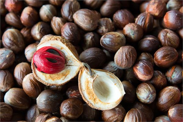 Nutmeg Essential Oil