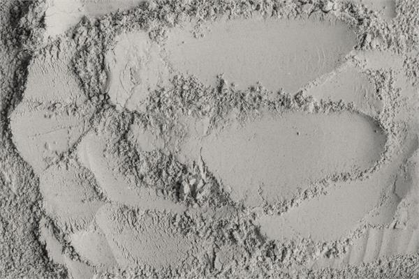 Organic Bentonite Clay