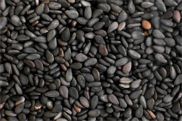Organic Black Sesame Oil