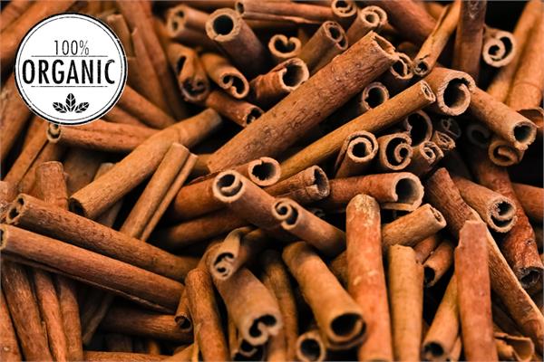 Organic Cinnamon Bark Essential Oil