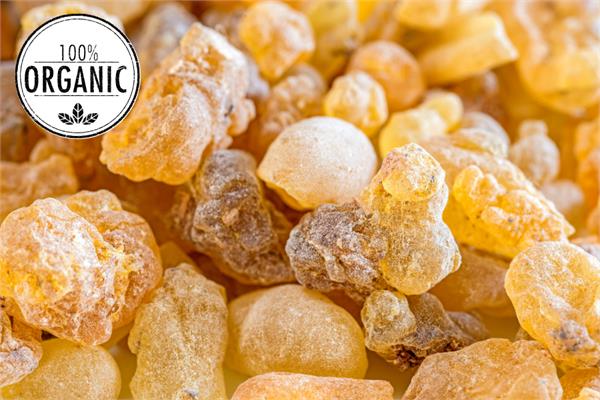 Organic Frankincense Essential Oil - Rivae 