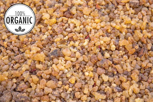 Organic Frankincense Essential Oil - Serrata
