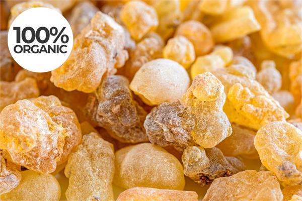 Organic Frankincense Rivae Essential Oil 