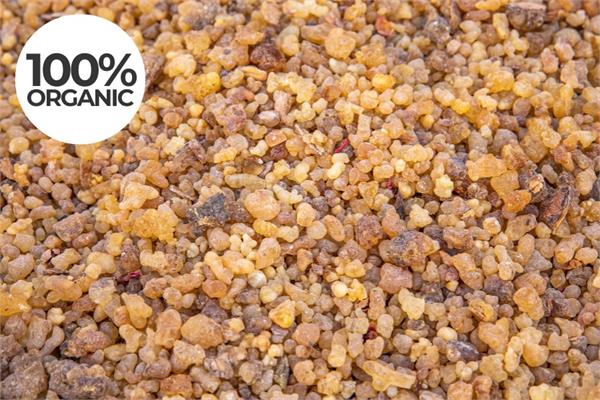 Organic Frankincense Serrata Essential Oil