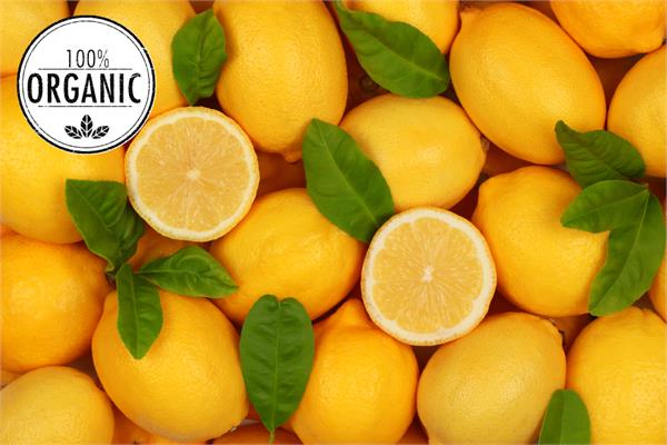 Organic Lemon Essential Oil