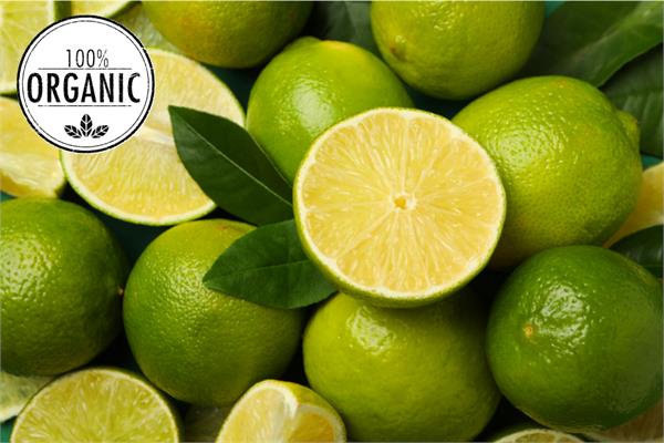 Organic Lime Essential Oil