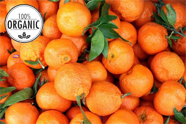 Organic Mandarin Essential Oil