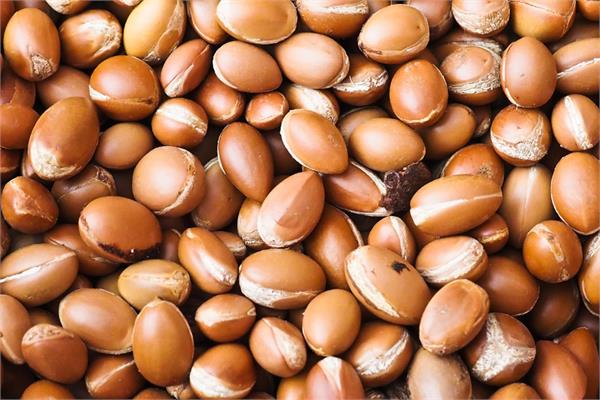 Organic Virgin Argan Oil