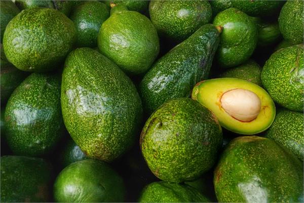 Organic Virgin Avocado Oil