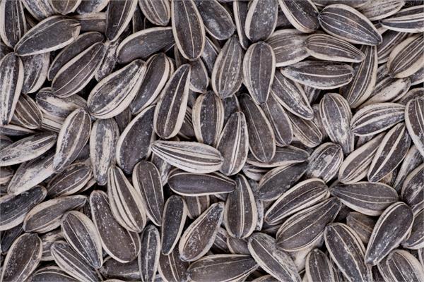 Organic Virgin Sunflower Oil