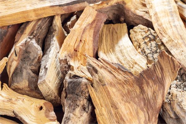 Palo Santo Essential Oil