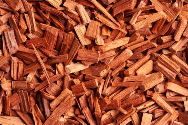Sandalwood Album Essential Oil