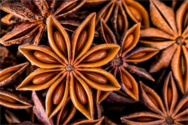 Star Anise Essential Oil 