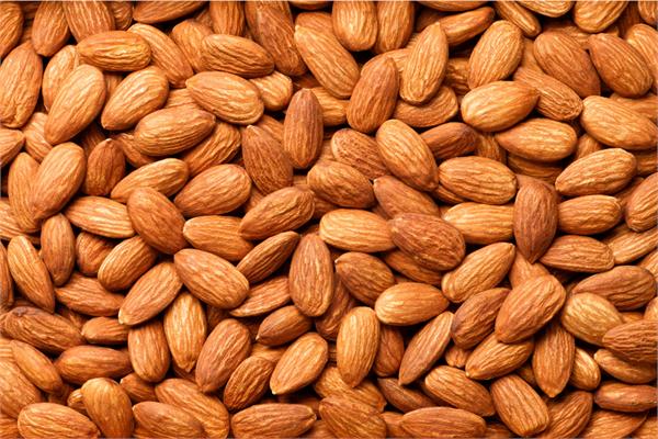 Sweet Almond Oil