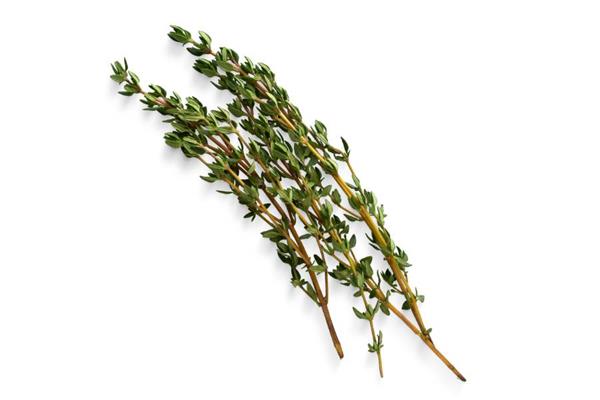 Thyme Essential Oil