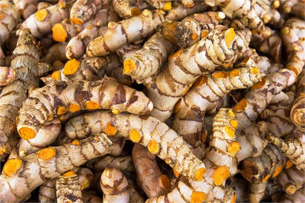 Turmeric Essential Oil
