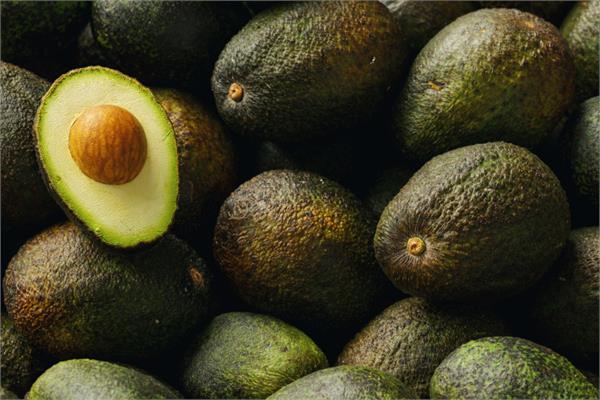 Virgin Avocado Oil