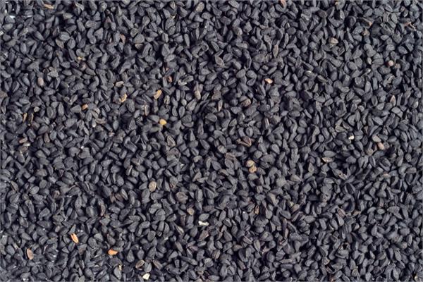 Virgin Black Seed Oil