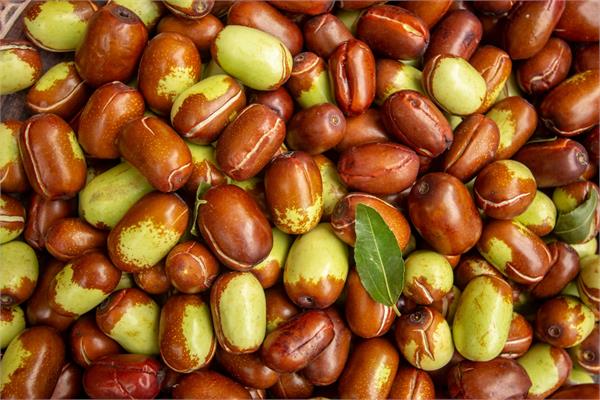 Virgin Jojoba Oil (Golden)