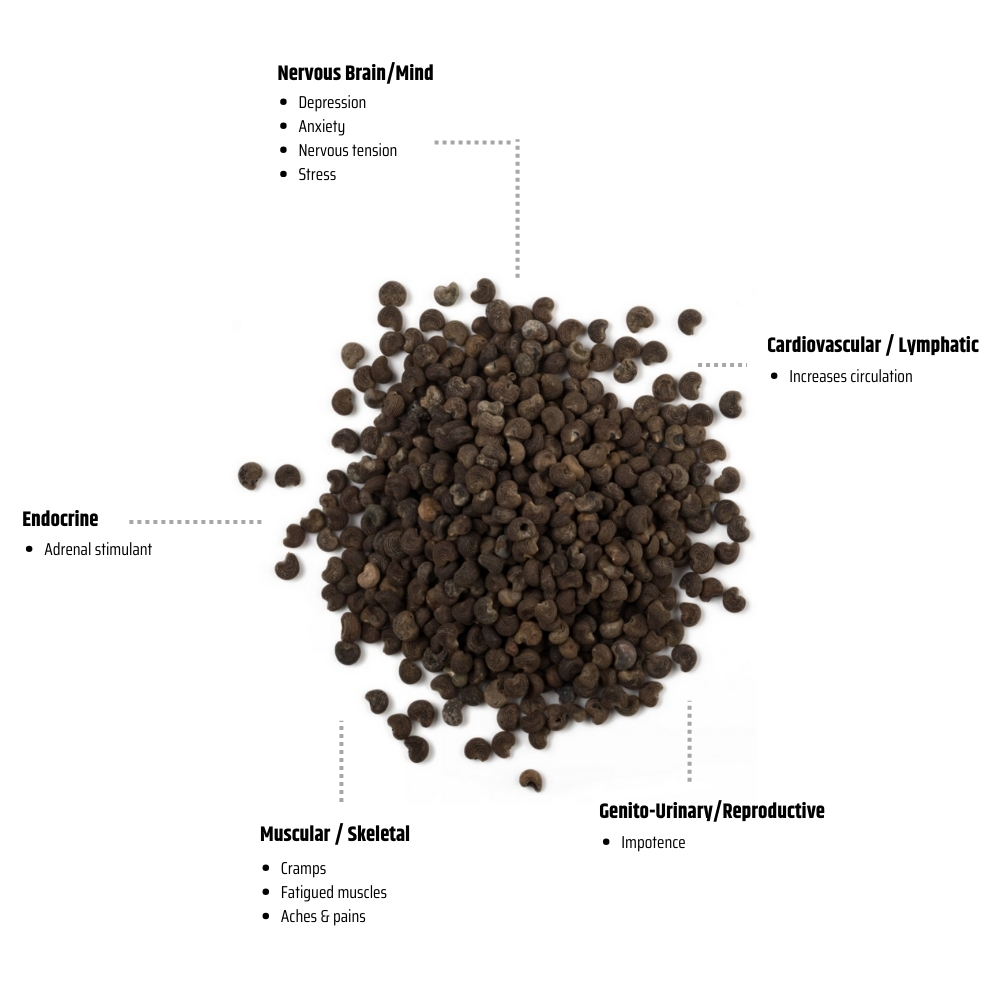 ambrette seed essential oil